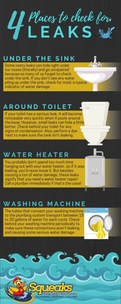 Infographic titled "4 Places to Check for Leaks," showing a sink, toilet, water heater, and washing machine with brief tips on inspecting each for water leaks.